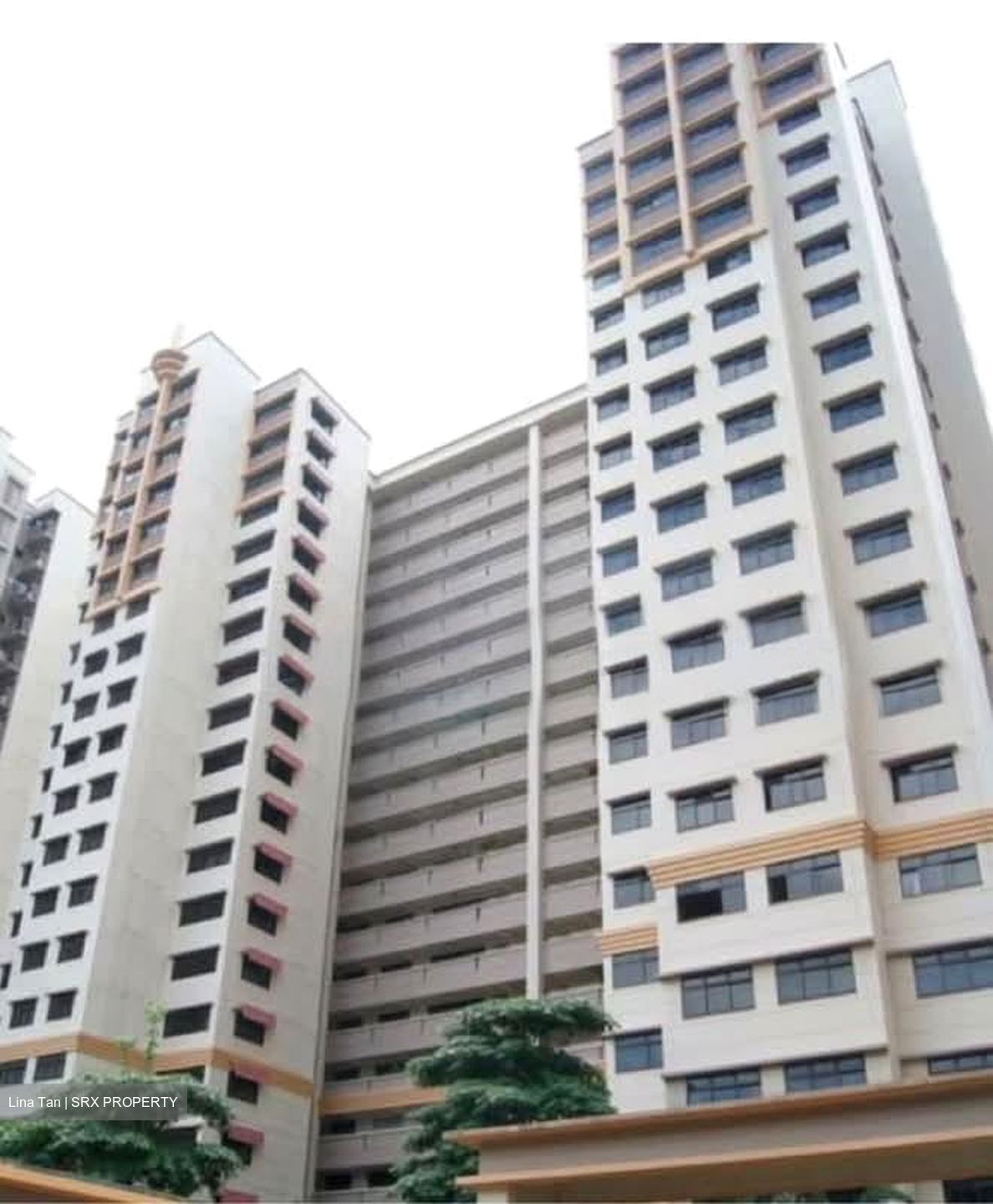Blk 6B Boon Tiong Arcadia (Bukit Merah), HDB 4 Rooms #563768171